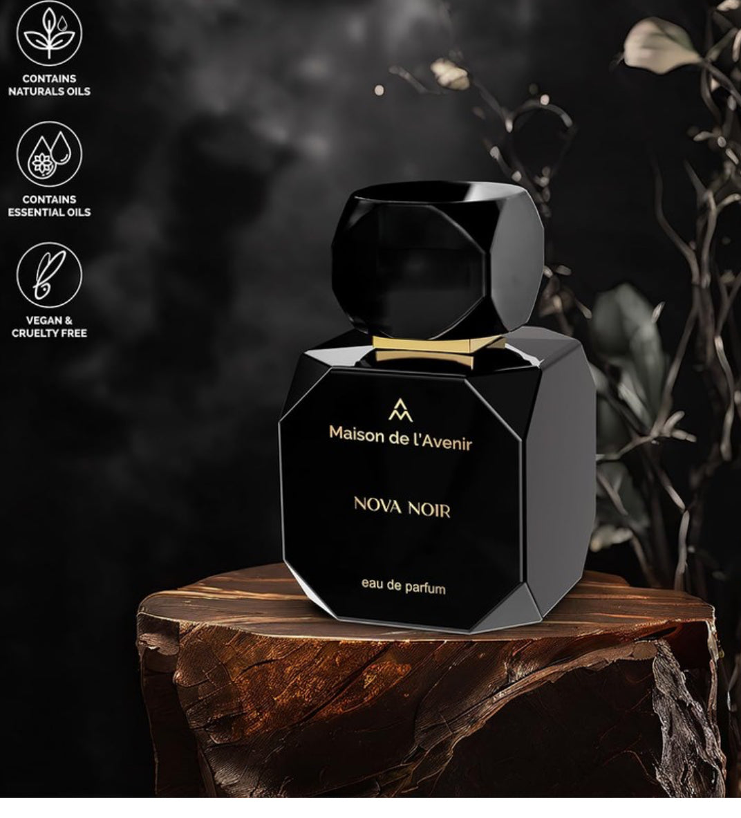 Maison de l'Avenir Nova Noir Eau de Parfum Spray for Unisex, 3.4 Fl Oz (100 ml)