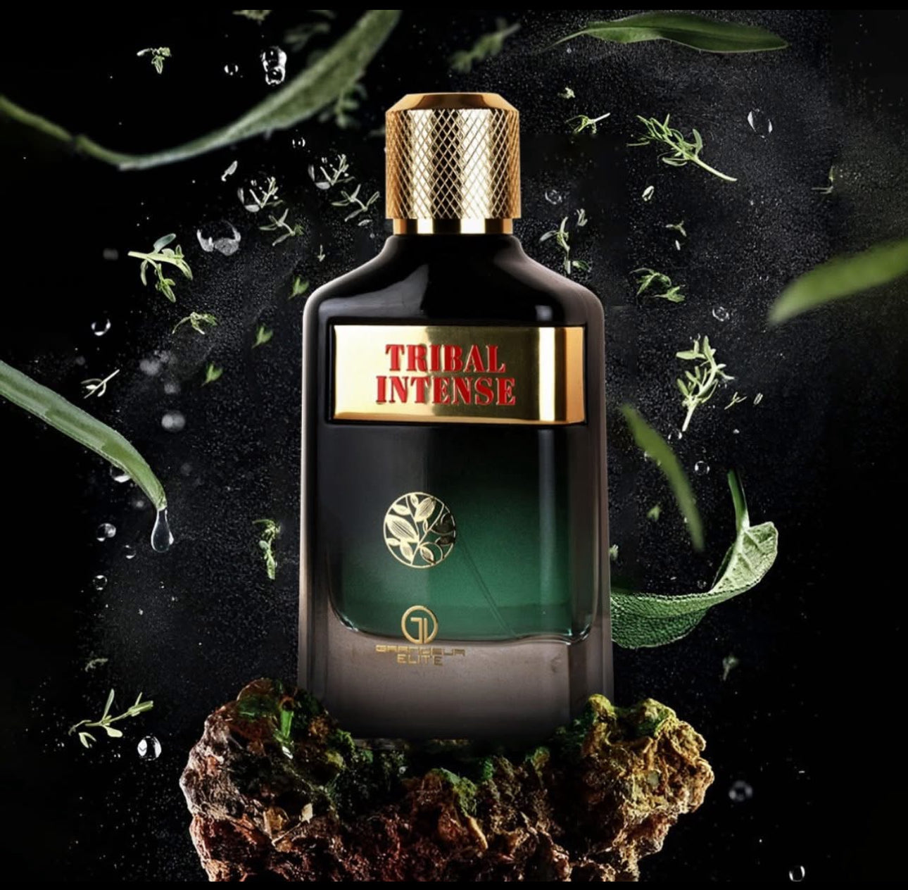 TRIBAL INTENSE MEN EDP - 100ML (3.4oz) BY LE GRANDEUR/Inspired by “Le Beau” by Jean Paul Gaultier